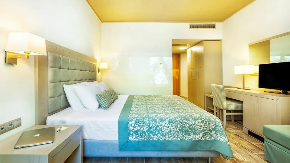 Standard Room Limited View